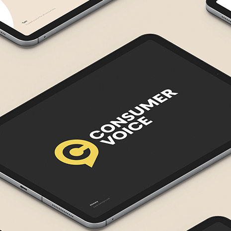 ConsumerVoice Preview